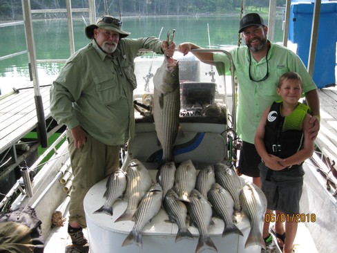 Nice Striped Bass